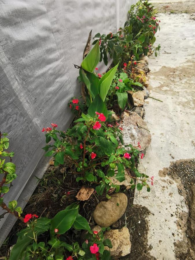 Dreamcatcher Homestay, Kundasang Ranau Exteriör bild