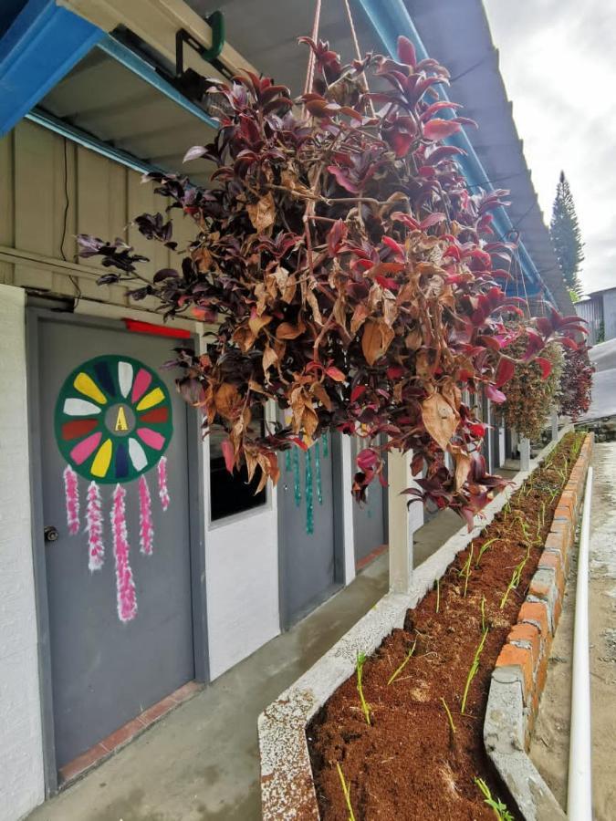Dreamcatcher Homestay, Kundasang Ranau Exteriör bild
